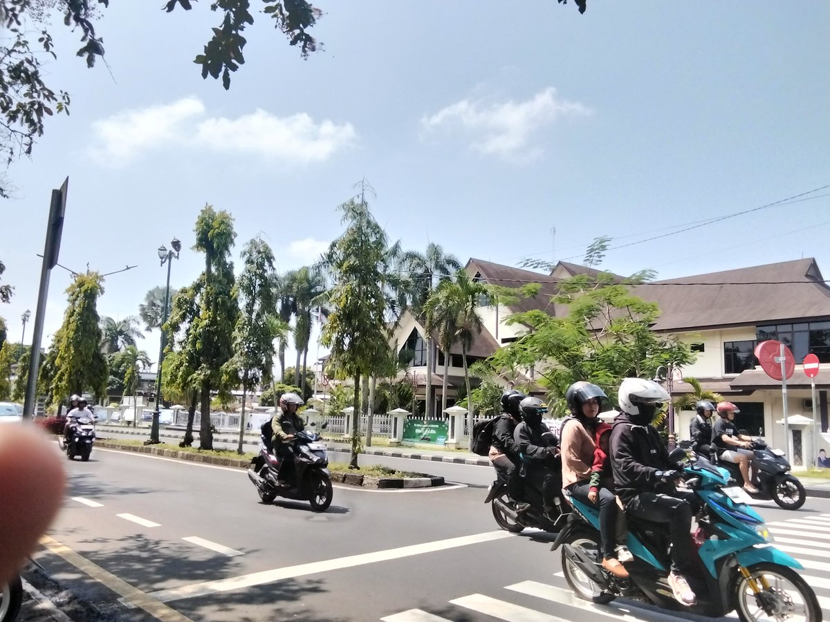 ICE BEAR/北极熊🐻❄️ tweet media