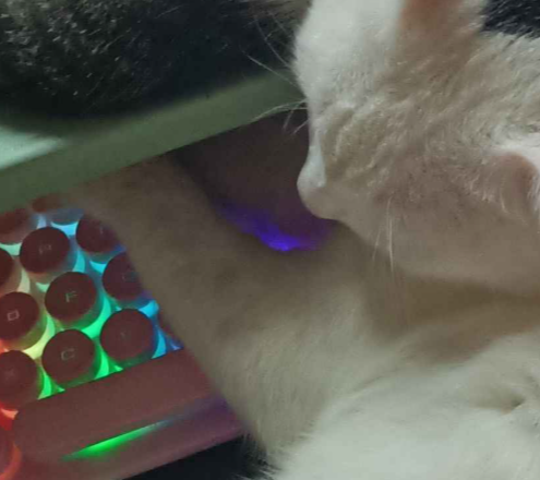 💖franaderia | work hiatus tweet media