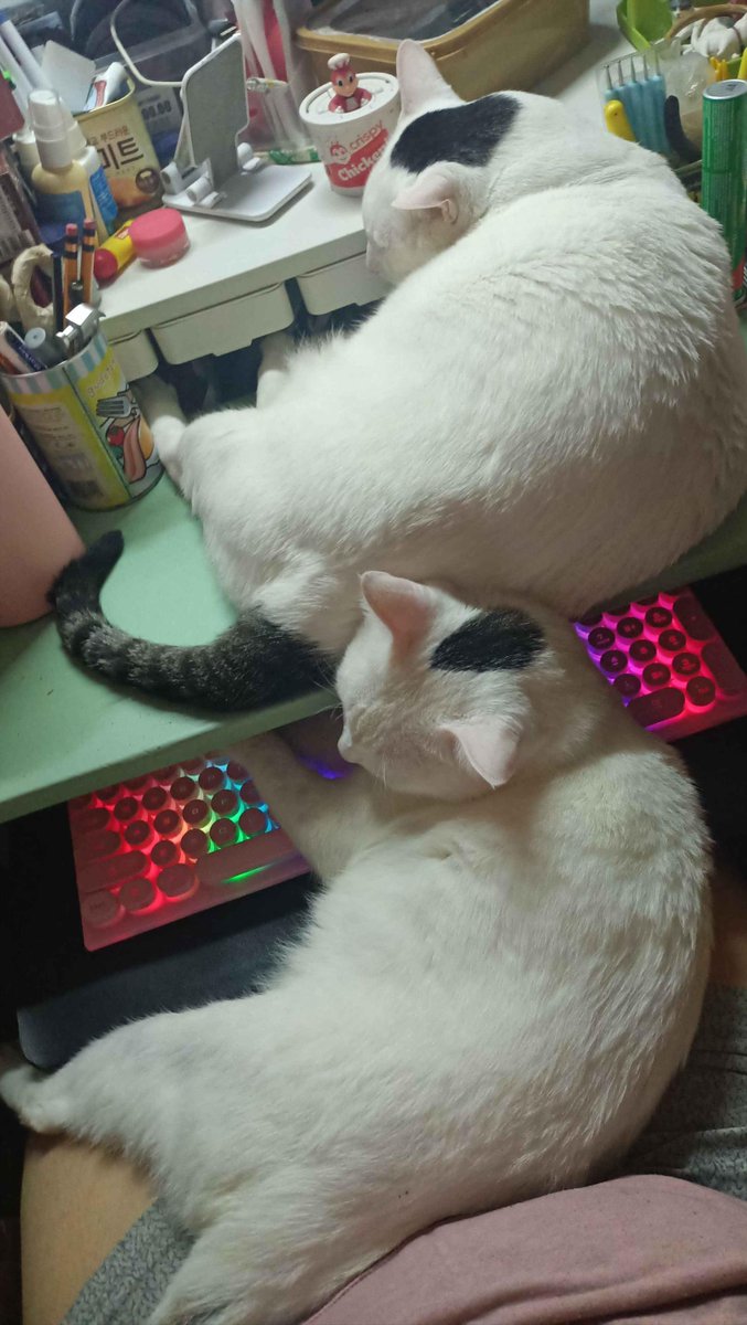 💖franaderia | work hiatus tweet media