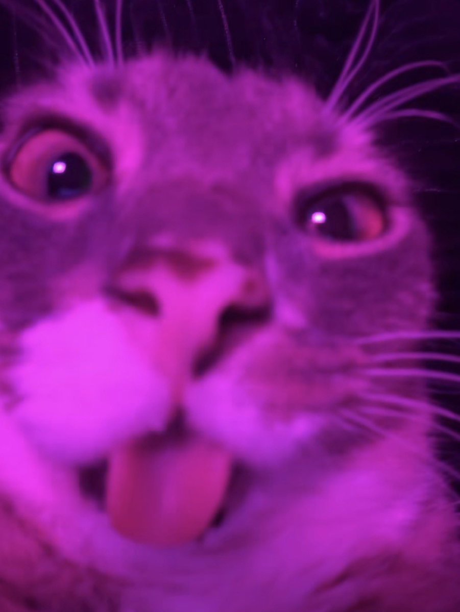 Messy_Project01 tweet media