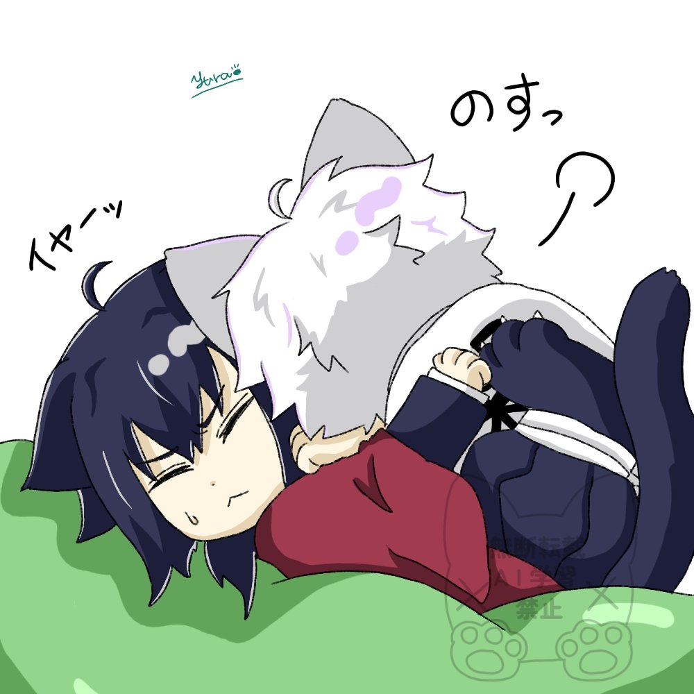 猫野ゆら tweet media