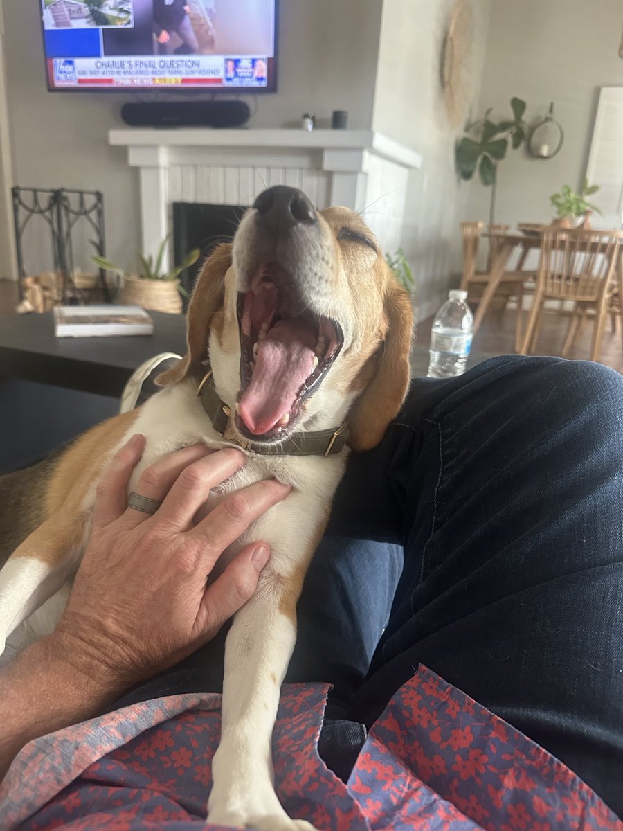 Lute Henry tweet media