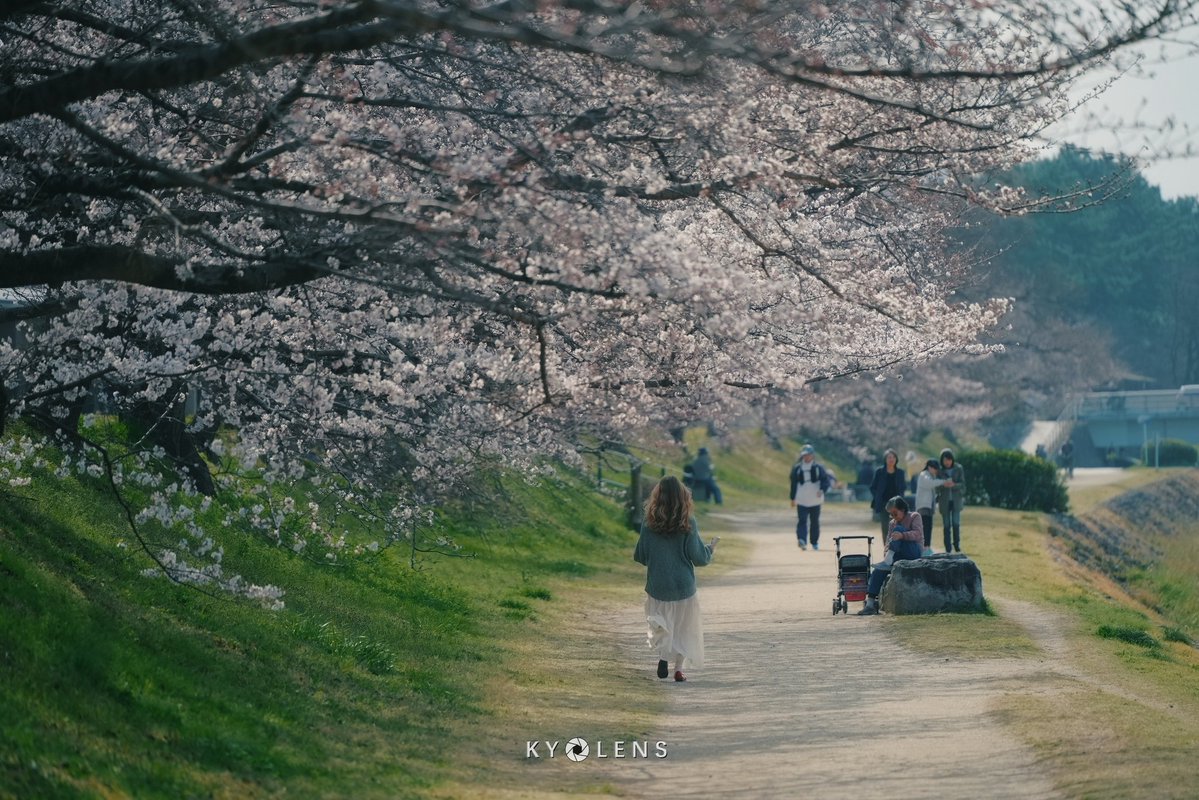 馬走日 tweet media