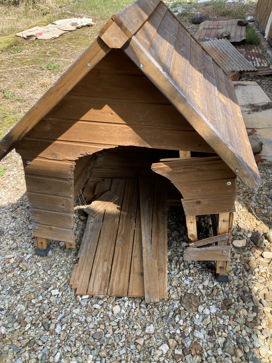 ちぃ@🩵💚 tweet media