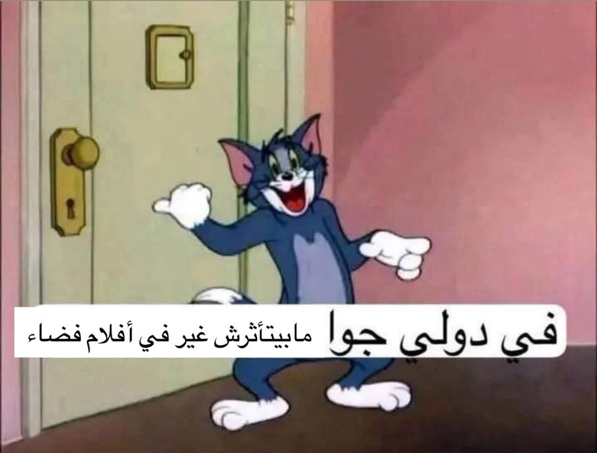 Muhammad Tarek tweet media