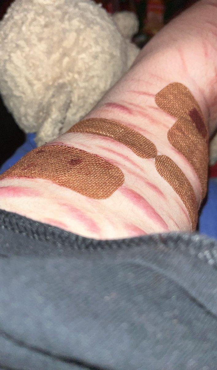 ˗ˏˋ izuku of shtwt ˎˊ˗ tweet media