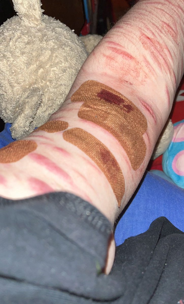 ˗ˏˋ izuku of shtwt ˎˊ˗ tweet media