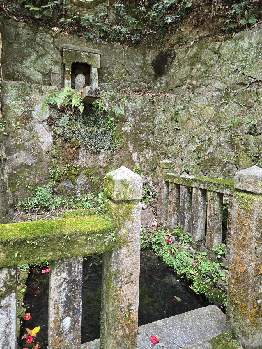 龍音堂 tweet media