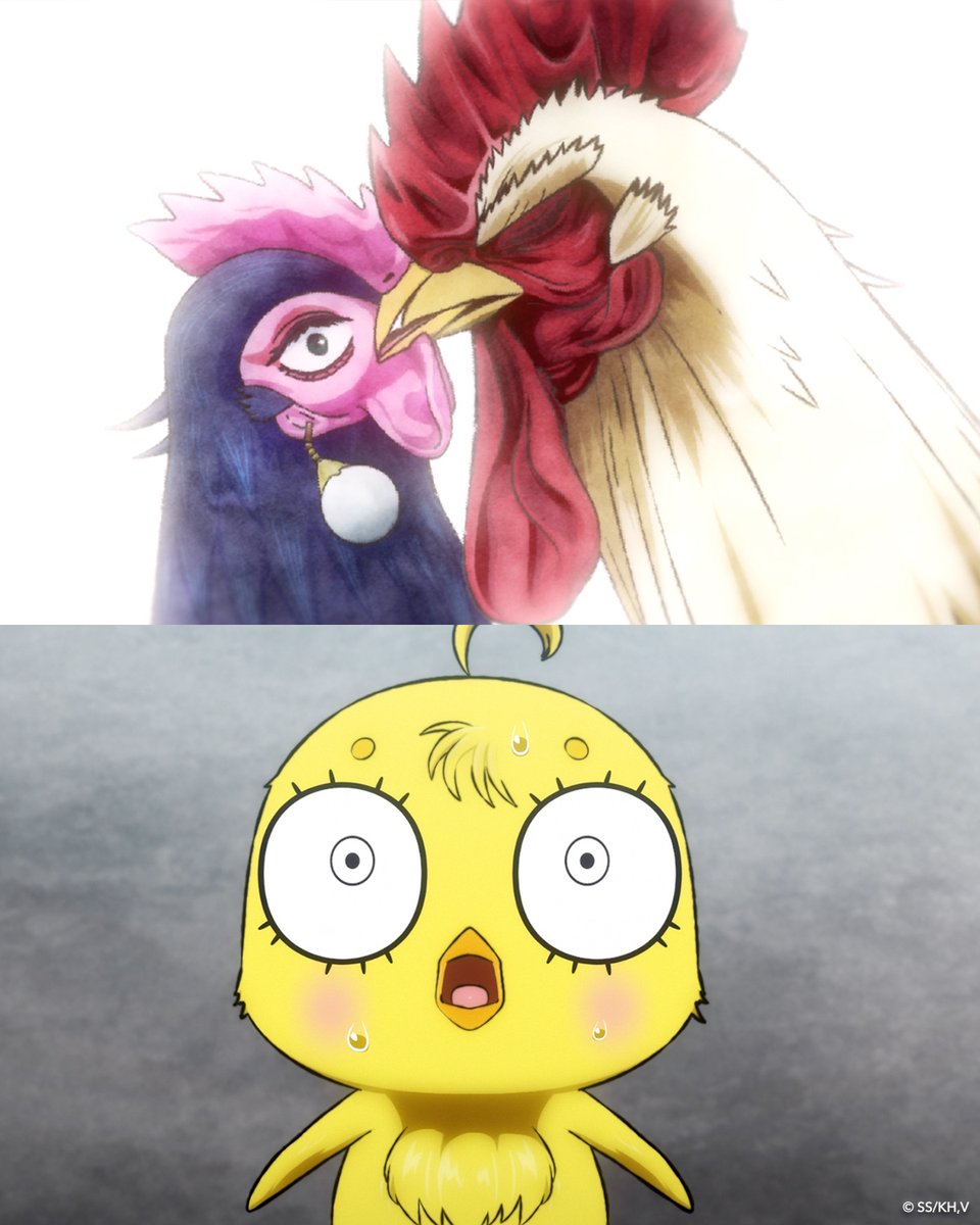 Rooster Fighter tweet media