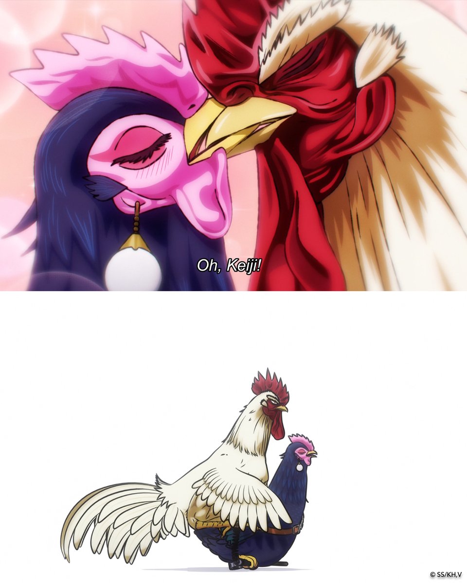 Rooster Fighter tweet media