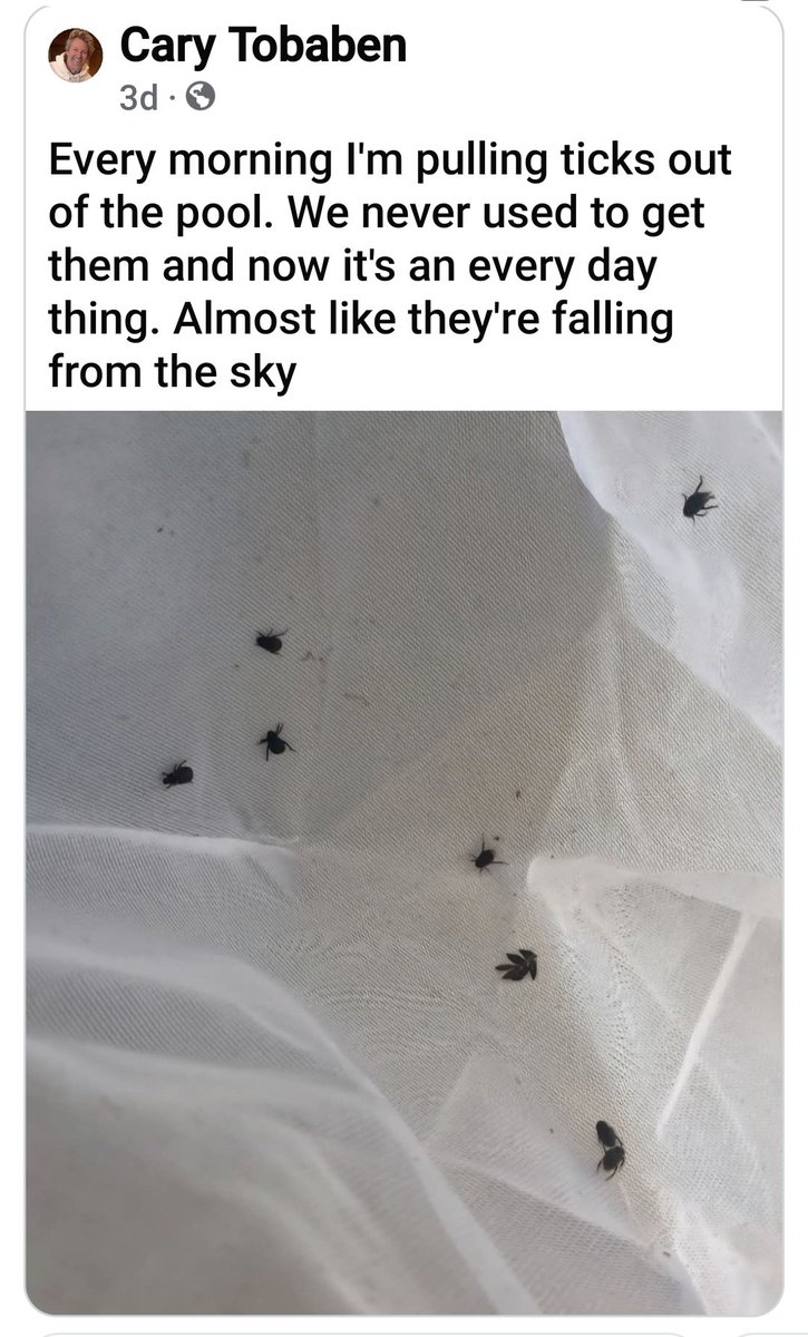 RealtimeREDneck tweet media