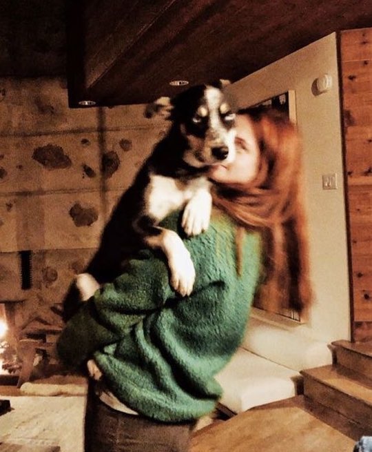 Summer | △⃒⃘ Assistindo HP tweet media