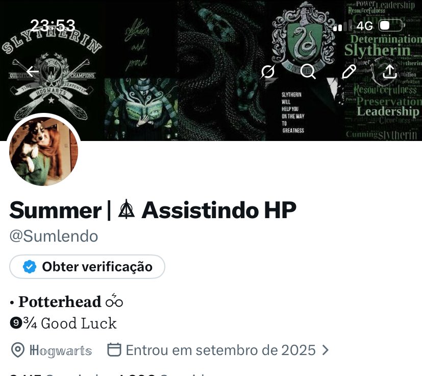 Summer | △⃒⃘ Assistindo HP tweet media