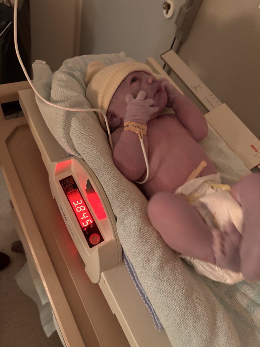 guillaume.ceo tweet media