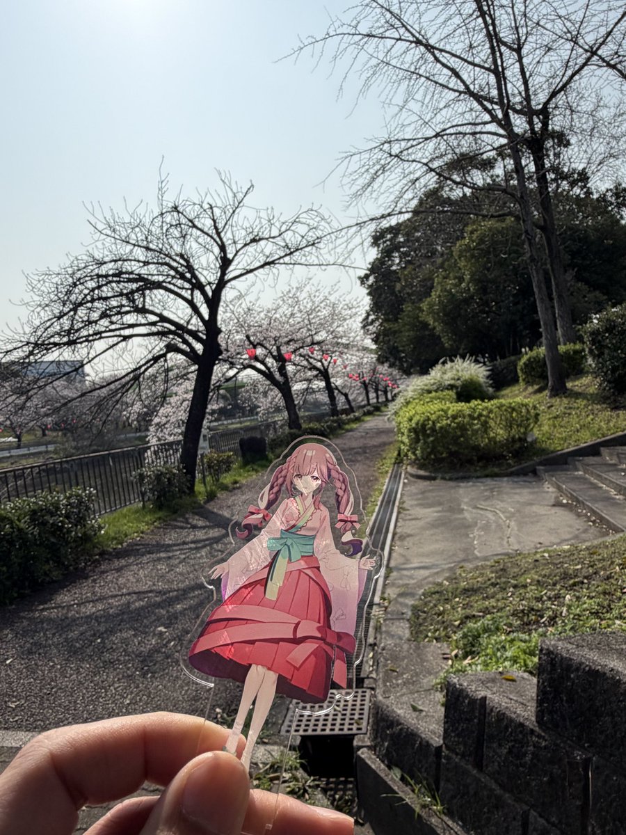 今日は天気が良くて花見日和🌸
りこちゃん×桜　が可愛すぎて最高🥰
#りこさんに見られ隊