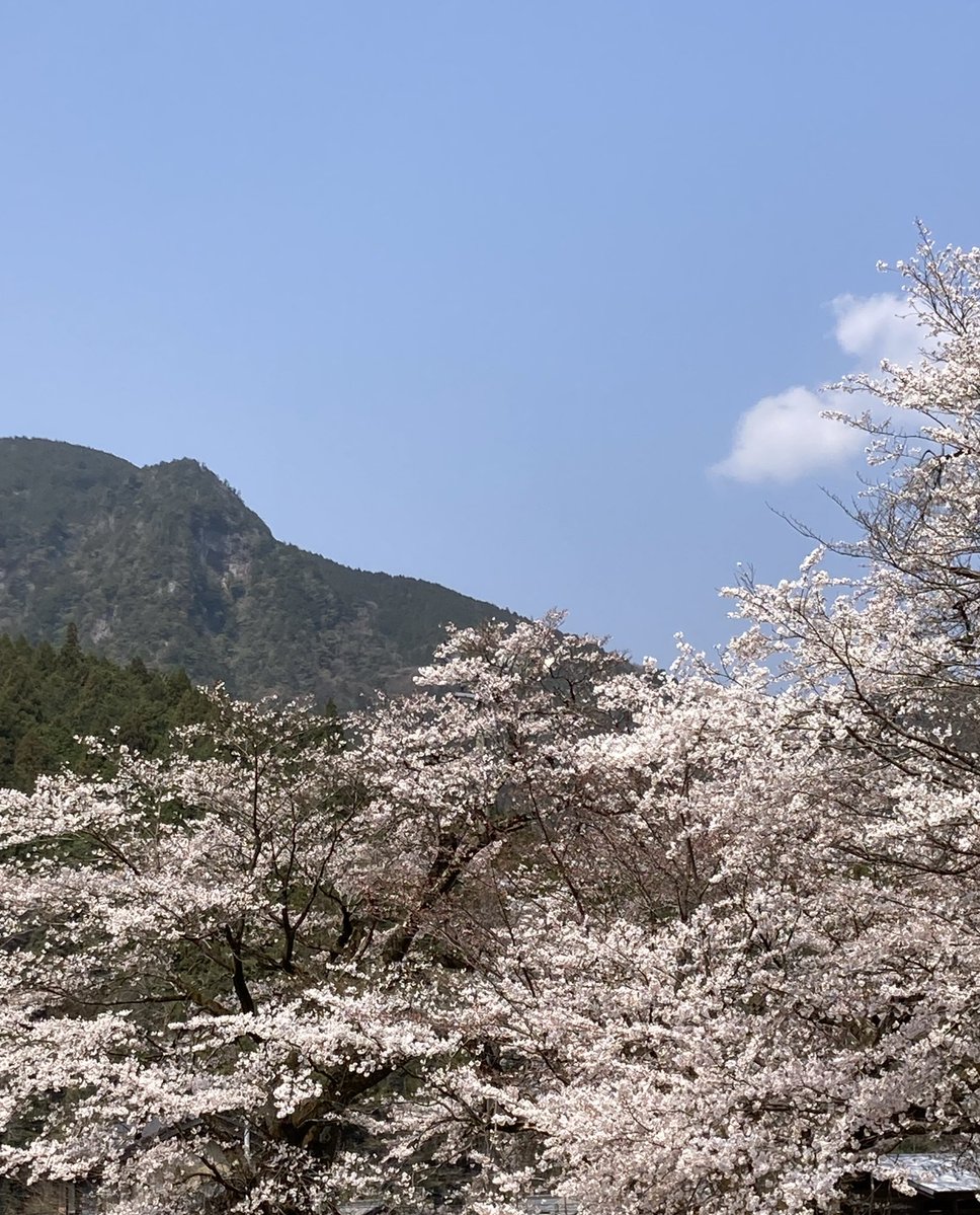 ちぃ@🩵💚 tweet media