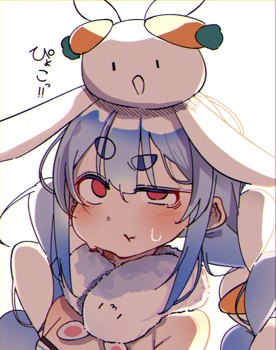 こひまるの介 tweet media