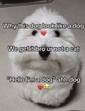 i drink soup tweet media