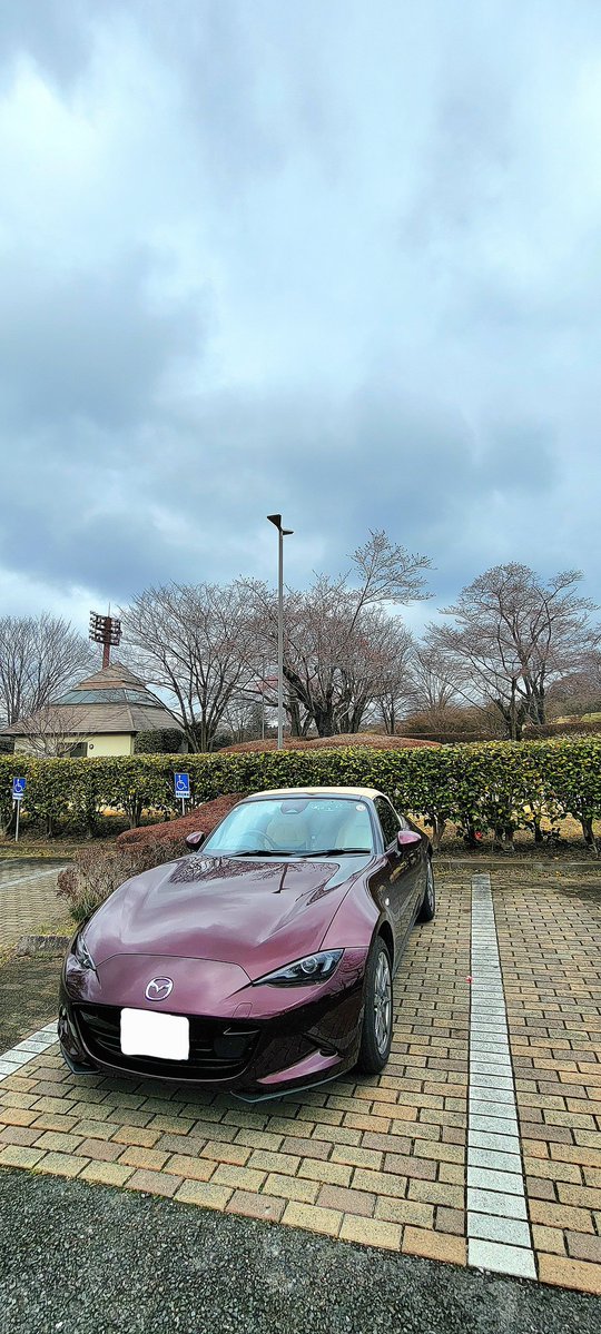 Mix_Nuts tweet media