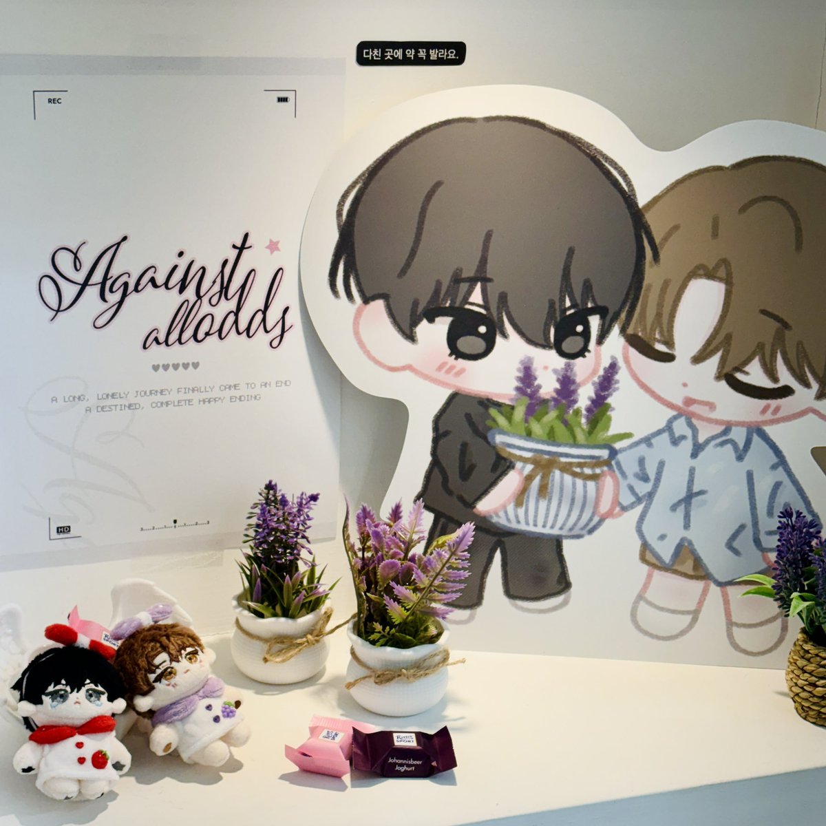 cherish🍒체리시 홍대 이벤트카페 생일카페 tweet media