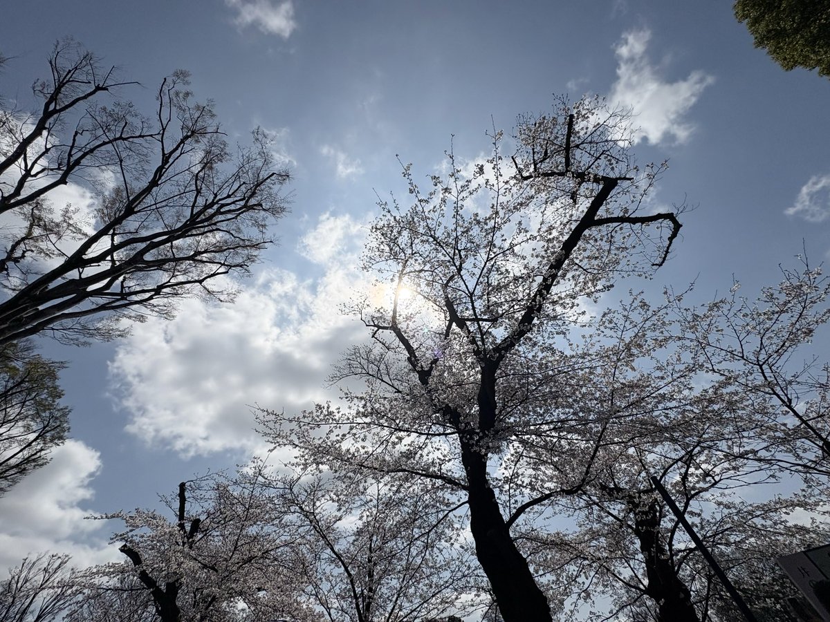 スナック禁断 tweet media