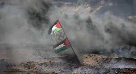 Sue Sponte tweet media