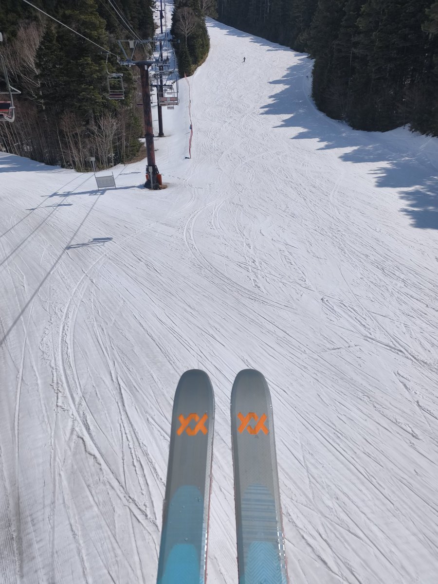 蓮華@AIおもしろ研究者 tweet media