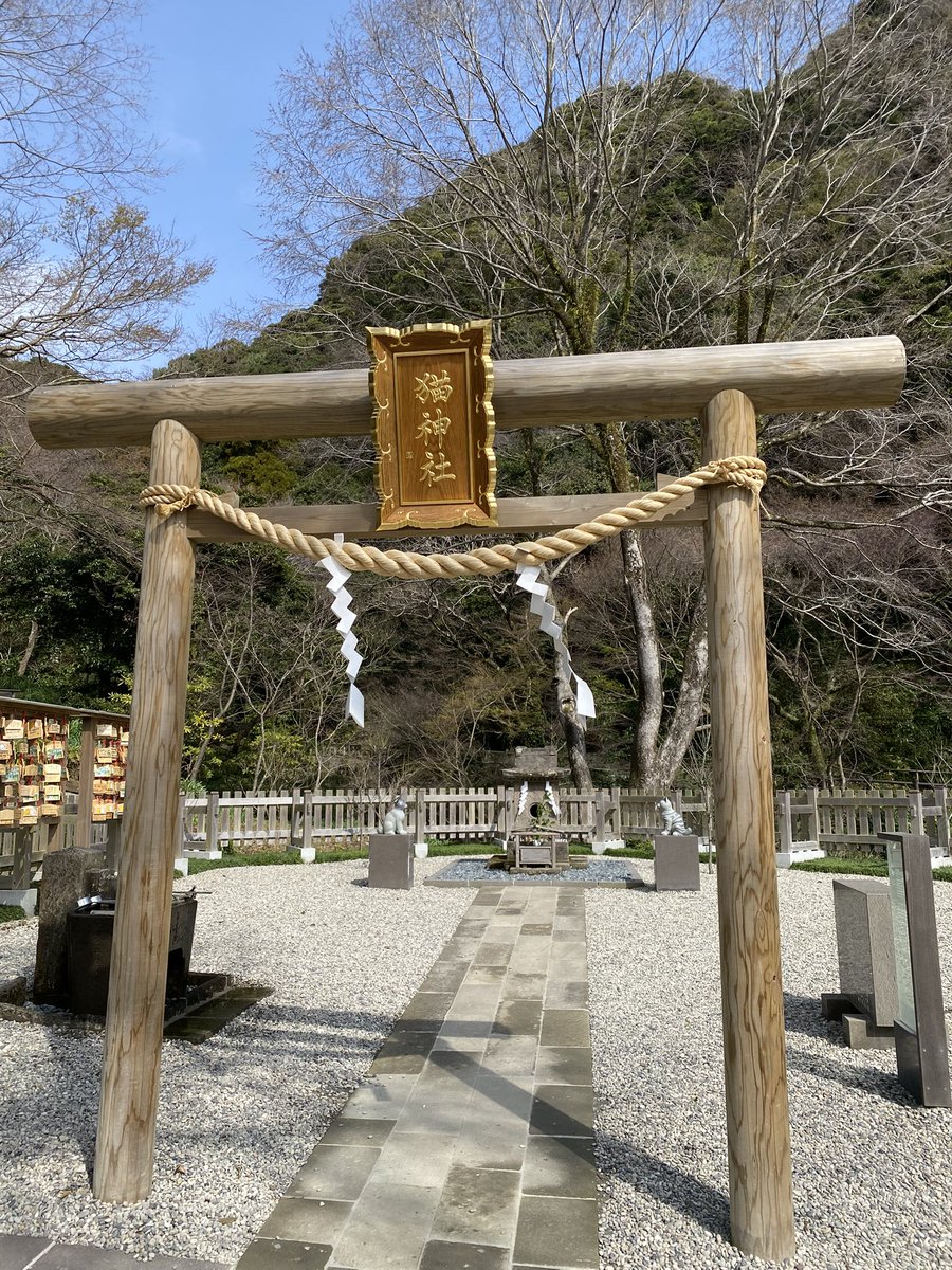 Sleep Deeply＠日本一周中 tweet media