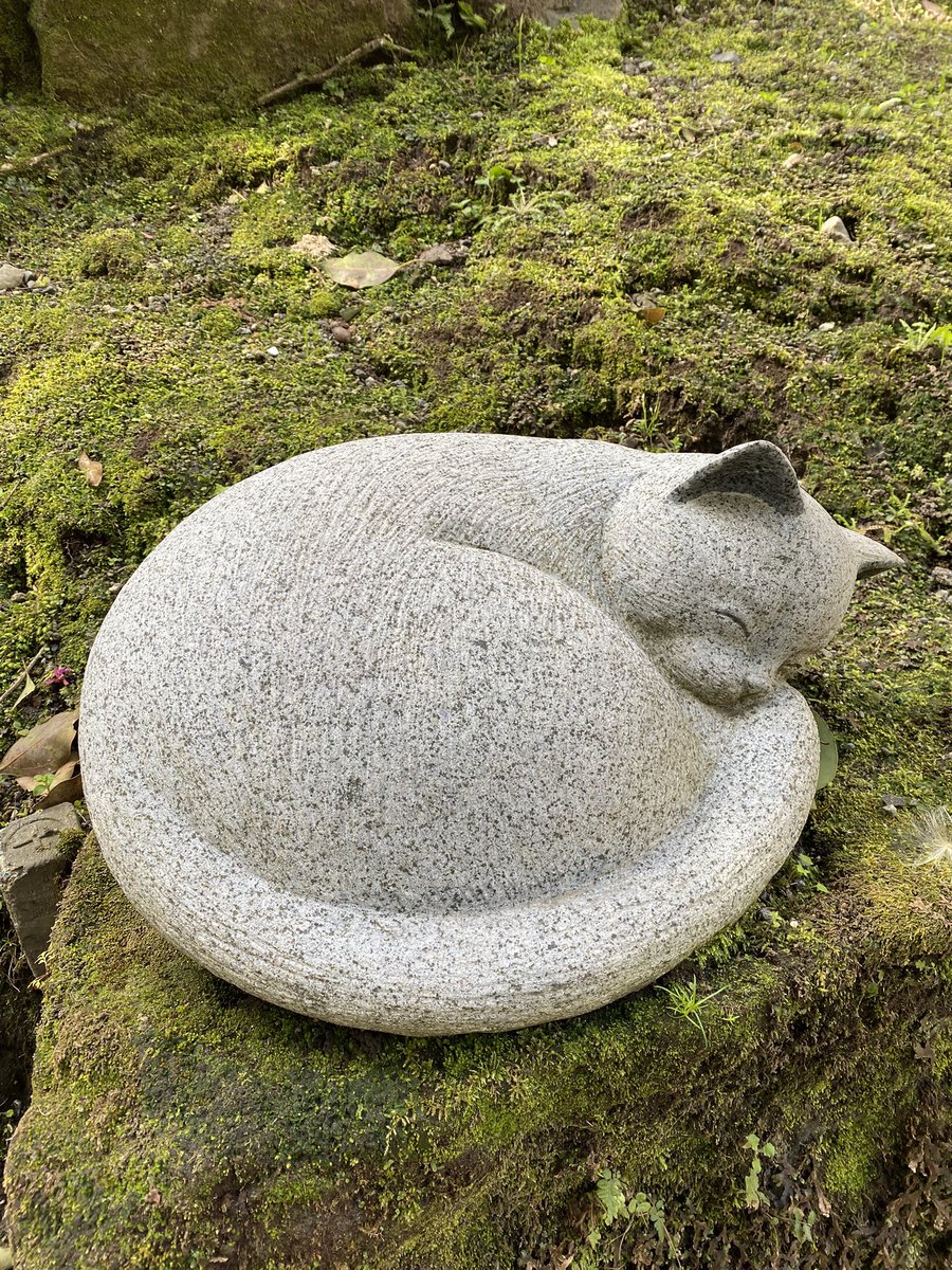 Sleep Deeply＠日本一周中 tweet media