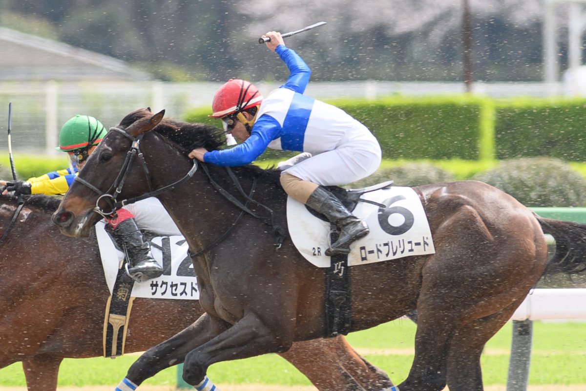 ใใ๐ซง๐ชผ tweet media