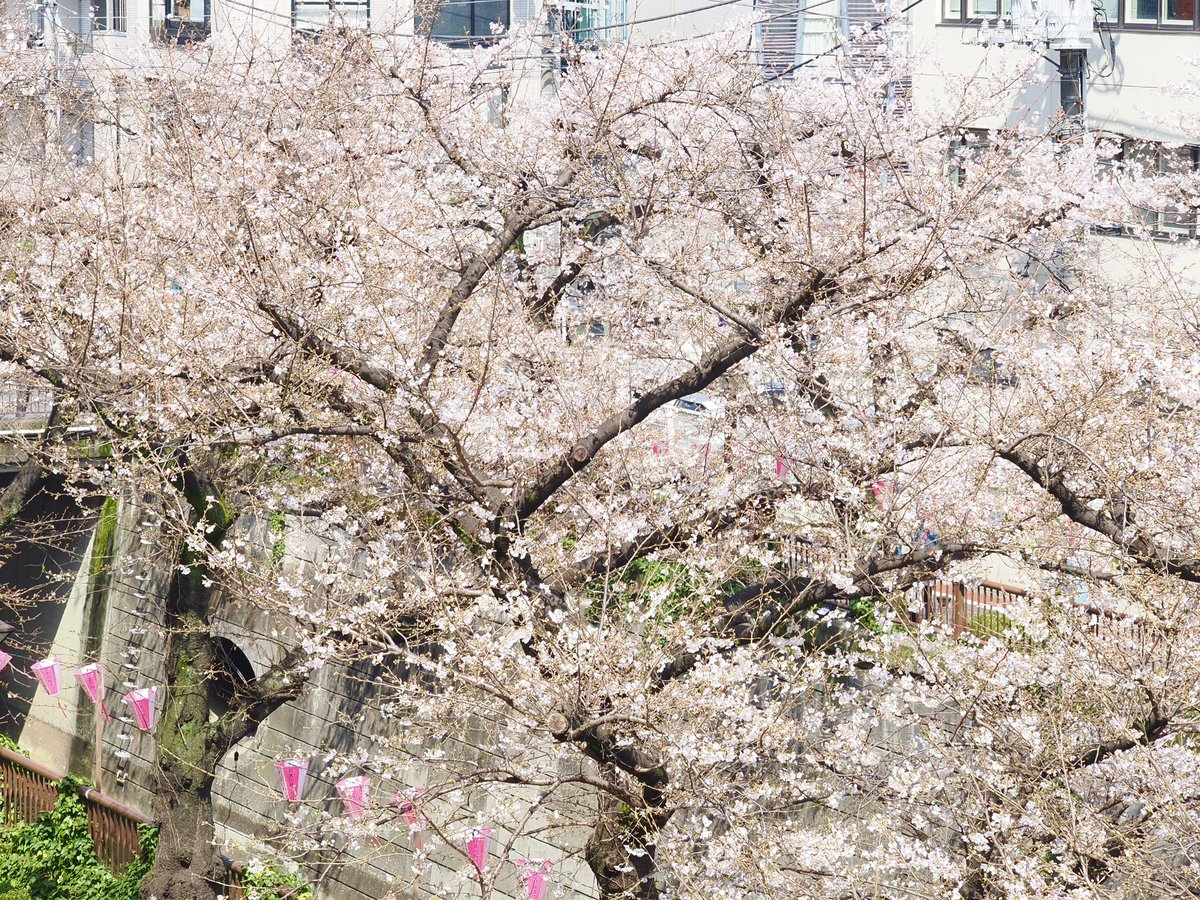 take@イベント参加メインで活動します。多忙のためスタジオのお誘いはお受けしていません。 tweet media