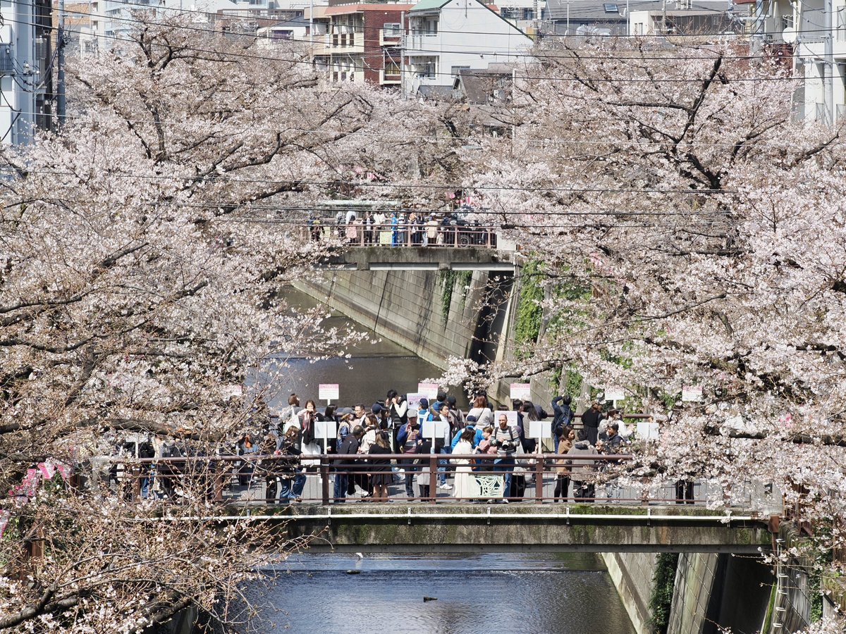 take@イベント参加メインで活動します。多忙のためスタジオのお誘いはお受けしていません。 tweet media