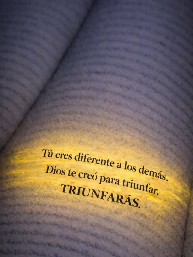 Jesús Nunca Falla tweet media