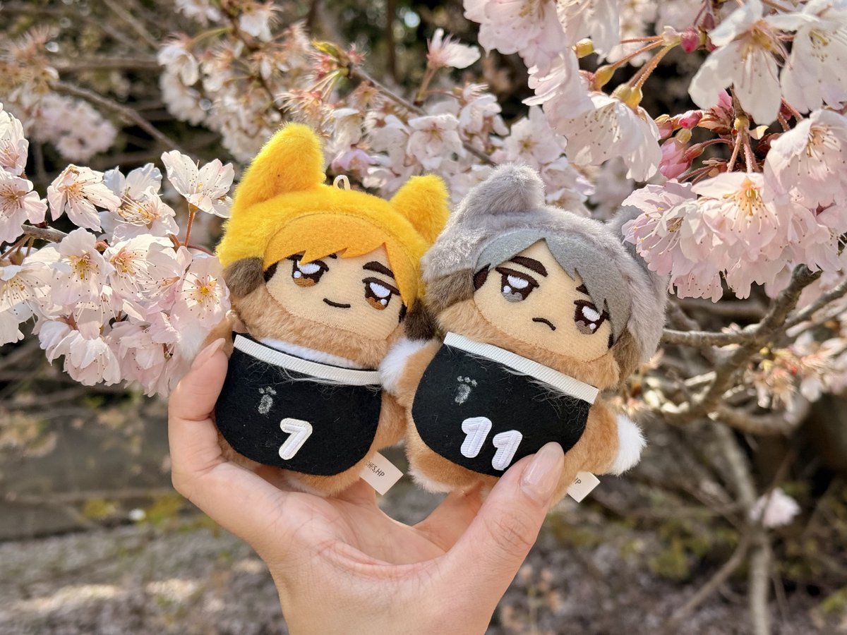 あおい tweet media