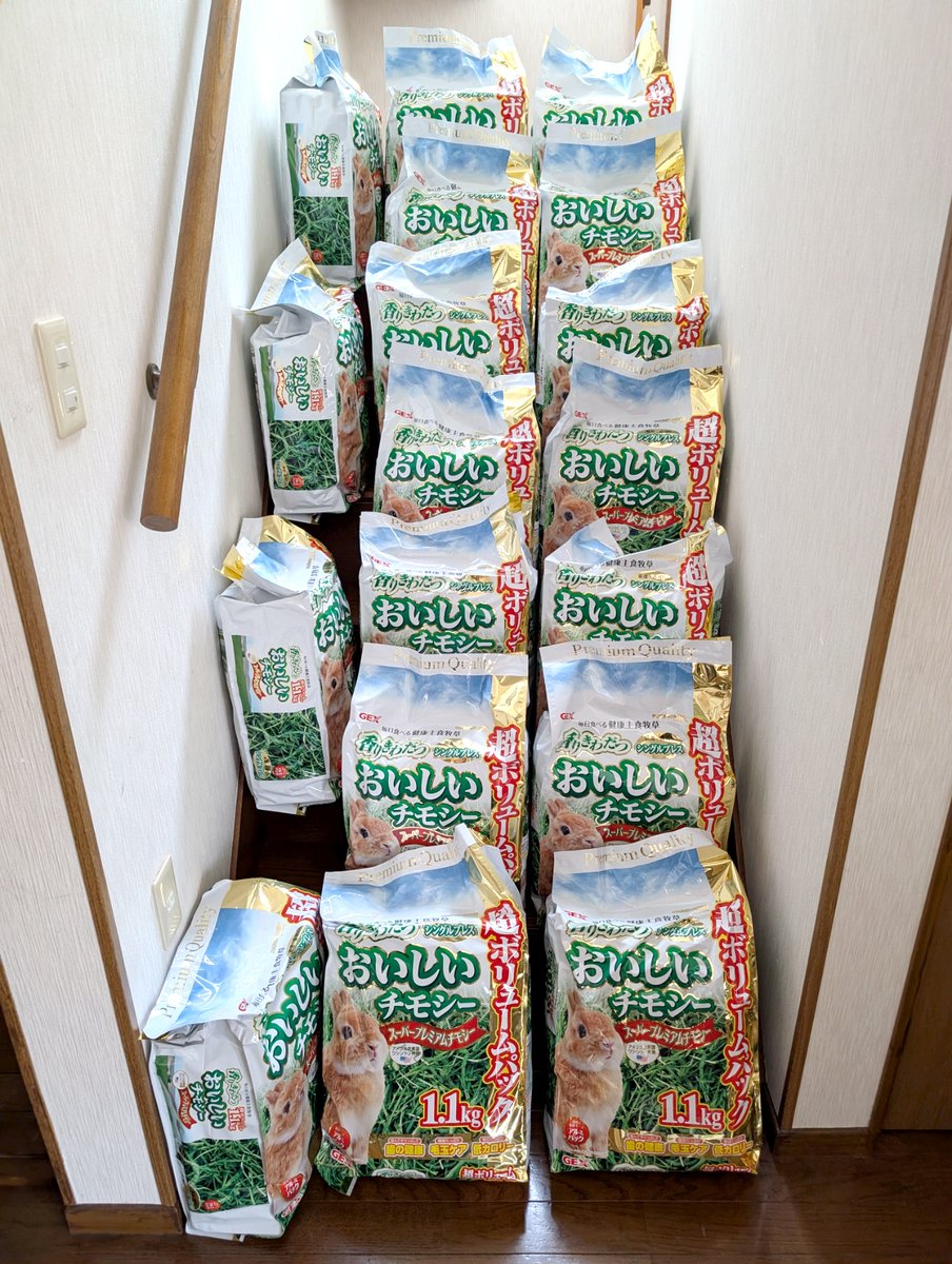 脱兎団 / DATTO-DAN tweet media