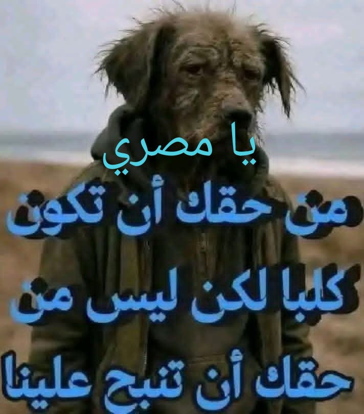 نخبوي اجرح وادوي tweet media