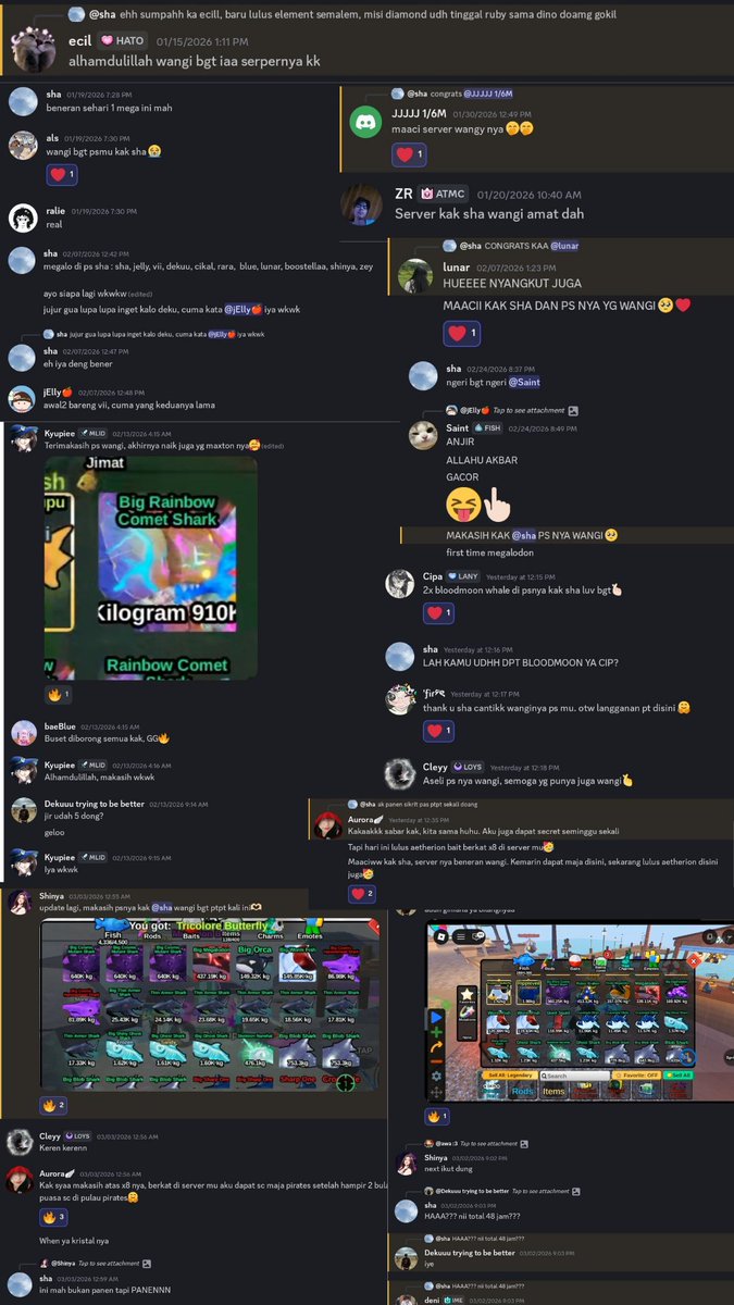 sha I pls mt after dm tweet media