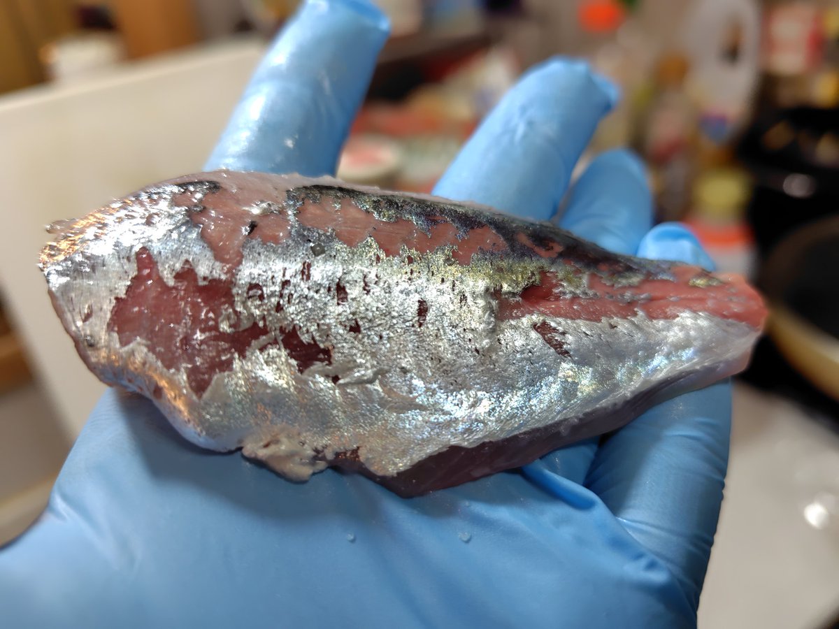 まみ（へたれ釣りオバサン） tweet media