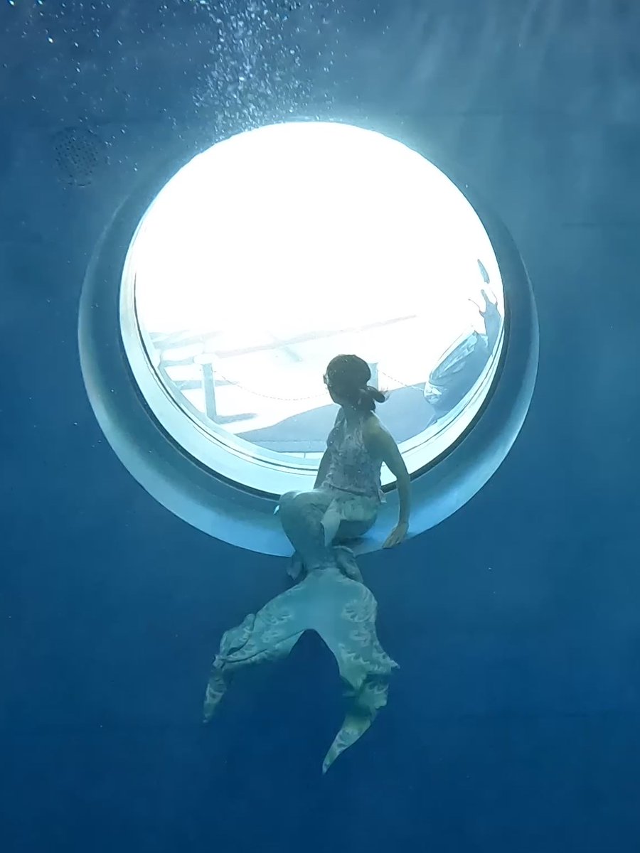 フミエ tweet media