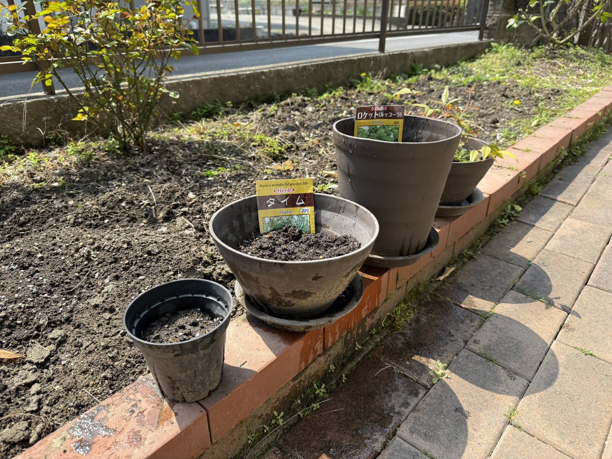 Tomohisa Iwai (いわい ともひさ) tweet media