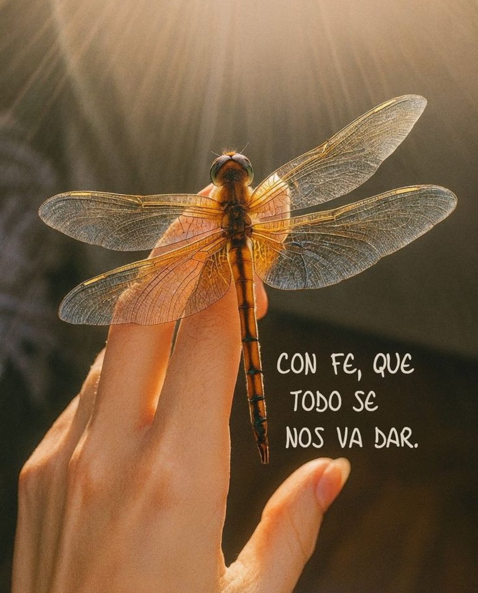 OluMarVas! 🤍 (@oggys1501) on Twitter photo 