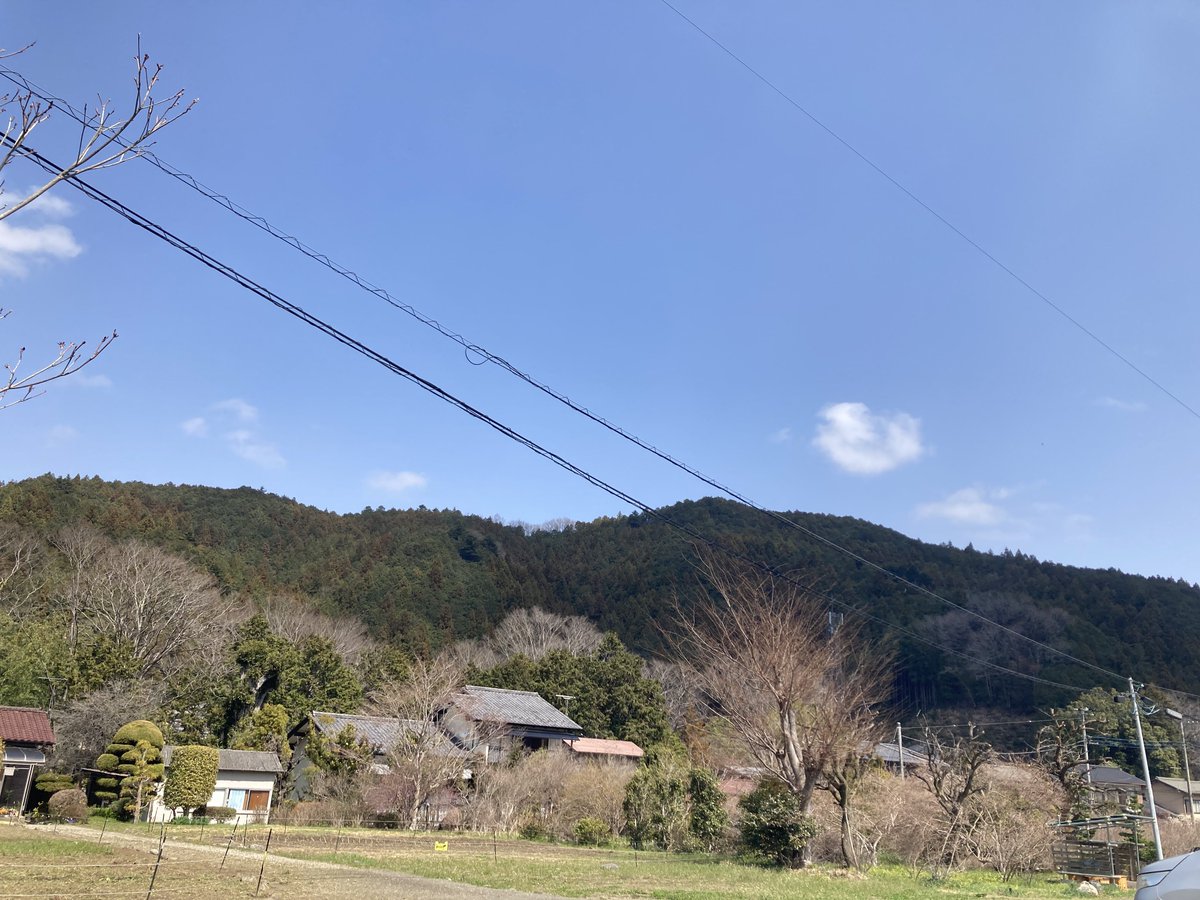 ソラリス タコ助 tweet media