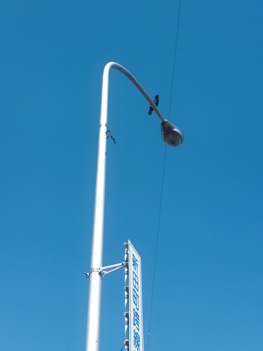 notarica_design's tweet image. #StructuredSkyframe