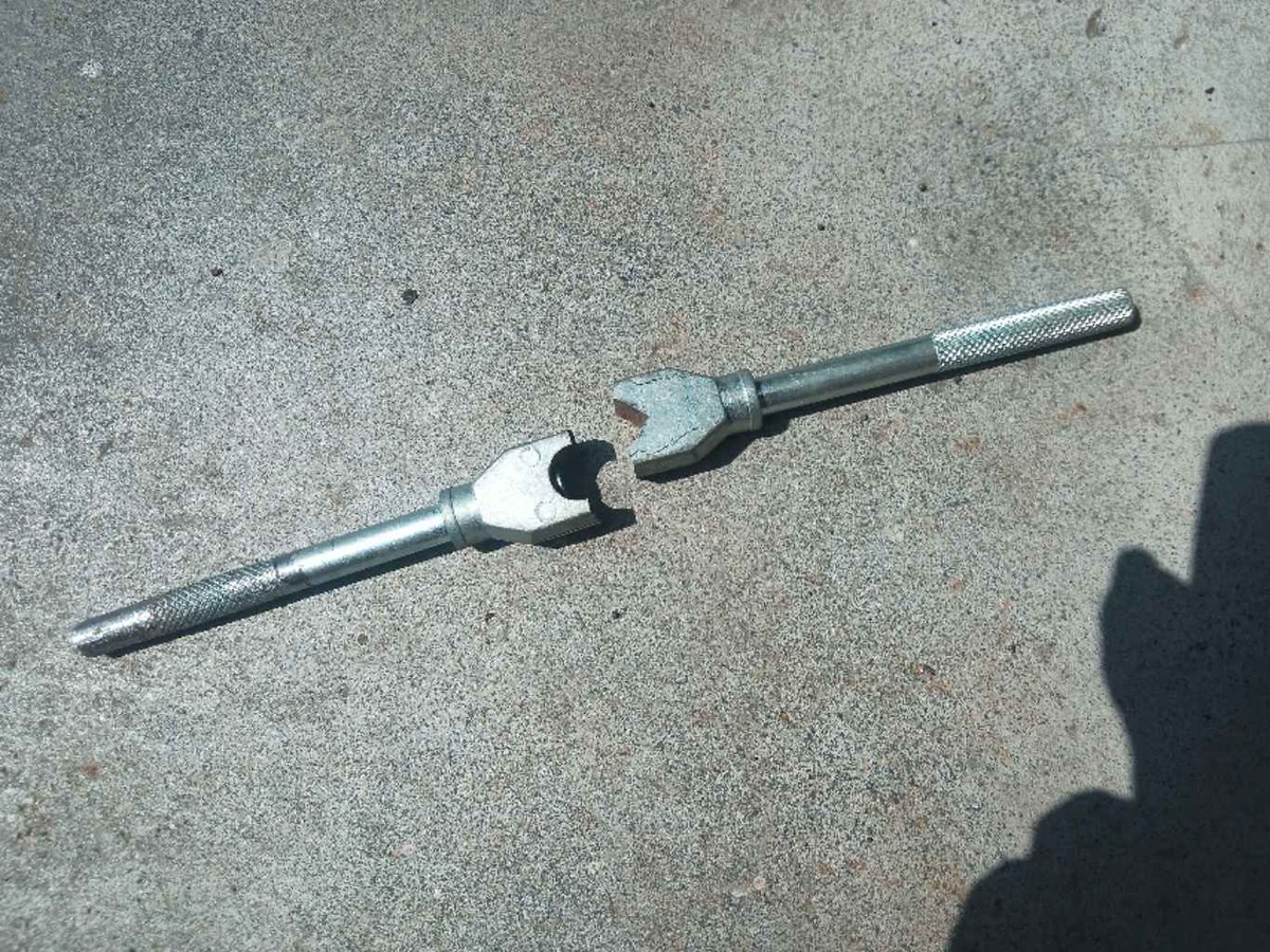 田舎のもやしっ子 tweet media