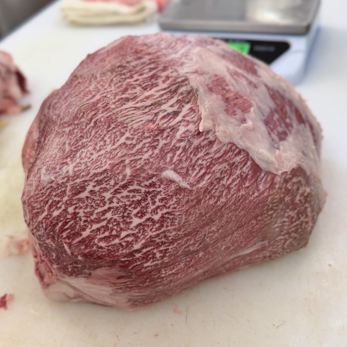 ゆうすけ tweet media