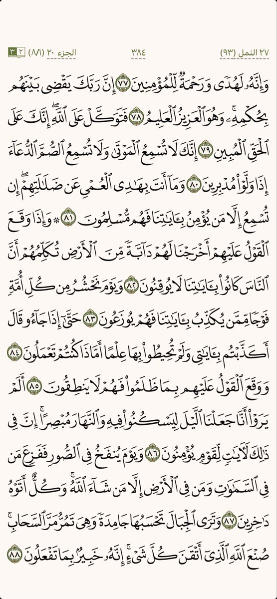 كل يوم صفحة tweet media