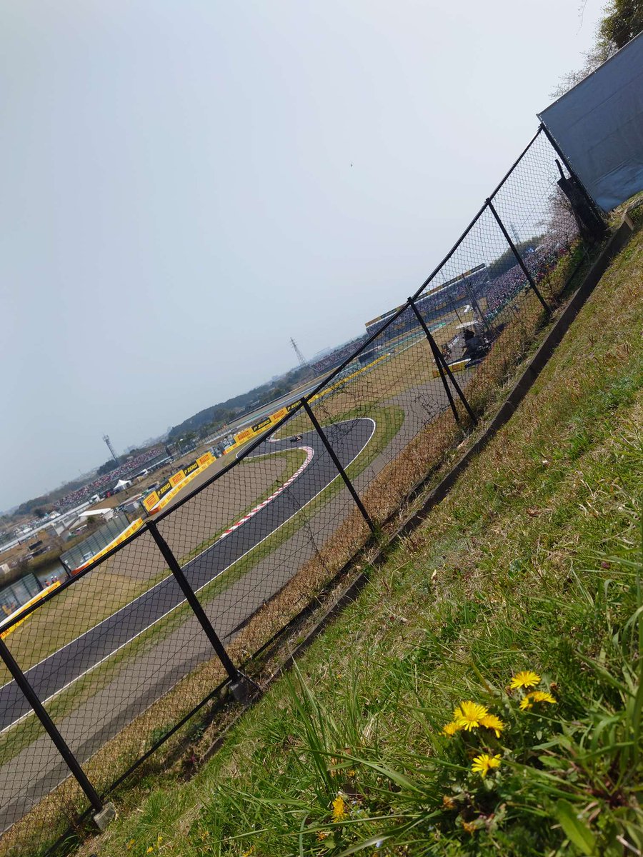 bibayuka's tweet photo. 東コースは春真っ盛り😁
#f1jp
#鈴鹿サーキット
#今日もスゴイ観客 https://t.co/KlUM05lepI