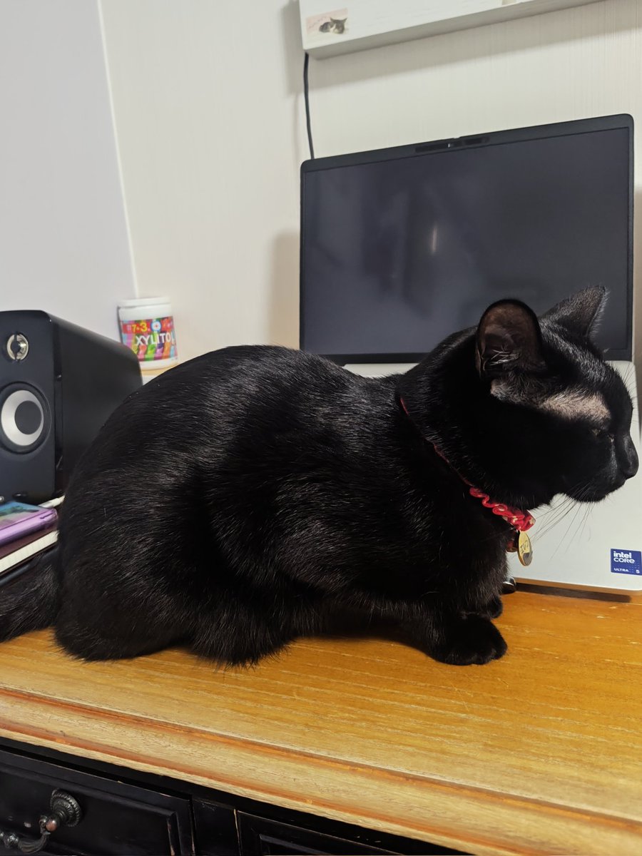 kageroh_mitra's tweet photo. 仕事用PCが壊れて新しいのをセットアップしてる時に立ちはばかる山 https://t.co/5zB8GUVSAd