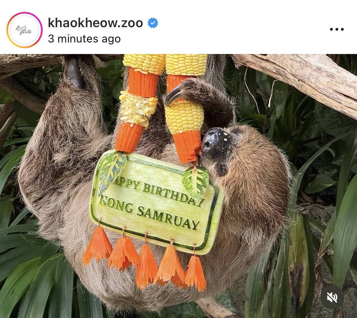 𝙢𝙞𝙢𝙞🫧 ปีนี้จะเจอเมนร้อยรอบ tweet media