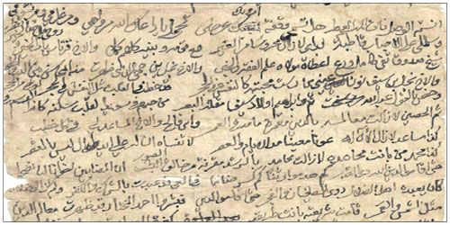 🏇🏇🐎 tweet media